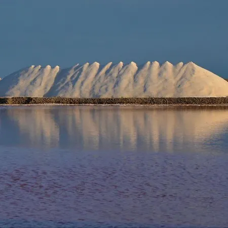 L'hippocampe דירה