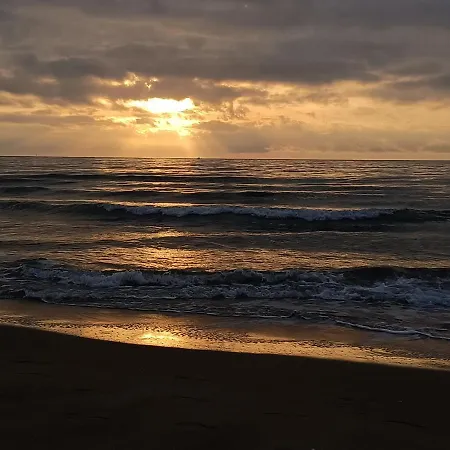 L'hippocampe Apartament