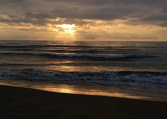 L'hippocampe Apartament