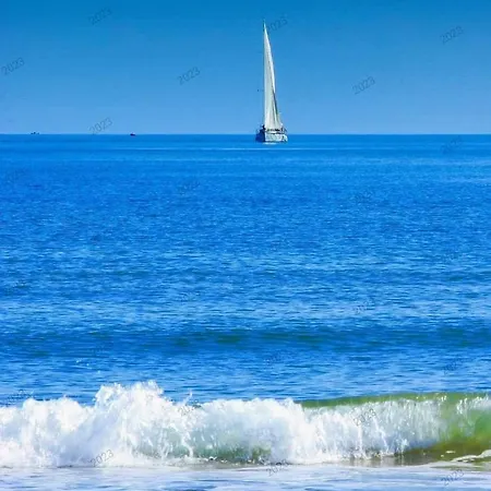 L'hippocampe Appartement